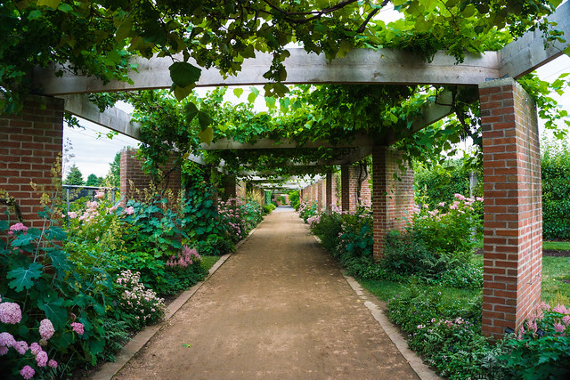 Chicago Botanical Garden 0782 Jul 7 2016