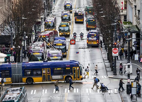 Lots of King County Transit buses on Third Avenue, Seattle