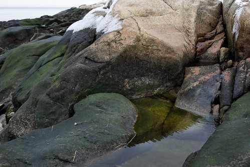 Green Algae on Granite | by brucetopher