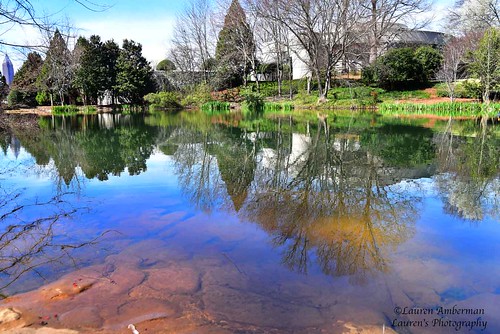 laurensphotography lauren3838photography landscape tree reflections water lake carter cartercenter georgia ga atlanta nikon d750 tamron tamron2875mm28 nature tourism presidentcarter carterpresidentiallibrary