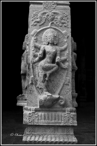gajasamharamoorthi lordsiva devikapuram tamilnadu india scuptures pillar elephant vazhuvur cosmicdance canoneos6dmarkii tamronef28300mm