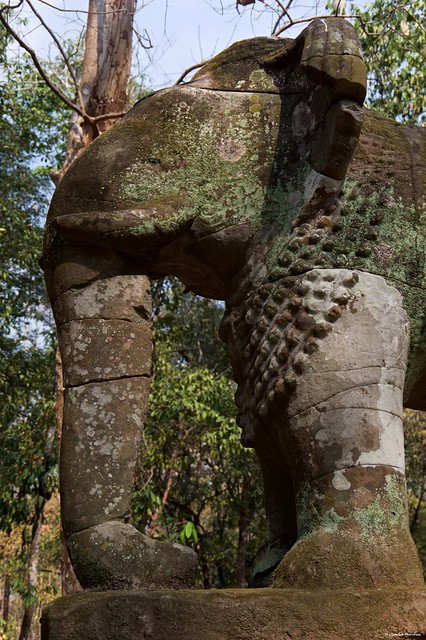 IMGP2024 Elephant Statue