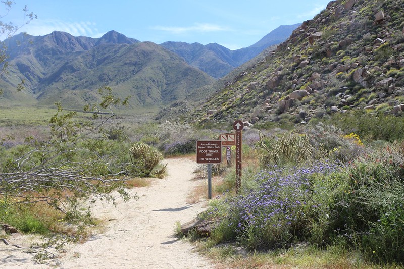 The signs for the foot path to Indian Canyon and Cougar Canyon