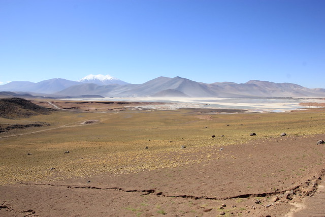 Dia 4: Lagunas Altiplanicas, Piedras rojas y Tour Astronomico (16/02/19) - Por el fin del mundo: Atacama, Perito Moreno, Patagonia e Isla de Pascua (17)
