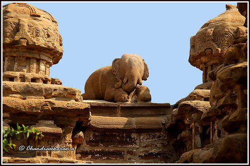traditions culture hinduism temples dravidianarchitecture asi saivaism india tamil nadu heritage pallavas rajasimha architecture scuptures structures buildings kailasanathar canoneos6dmarkii tamronef28300mm