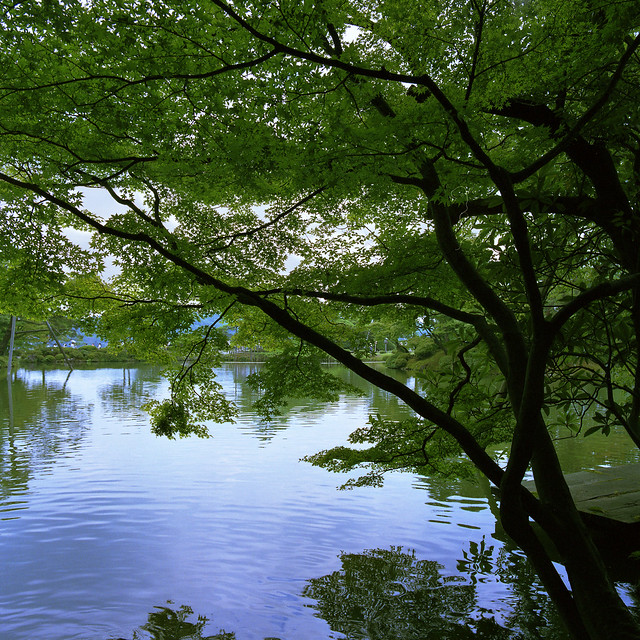 The Kasumigaike pond
