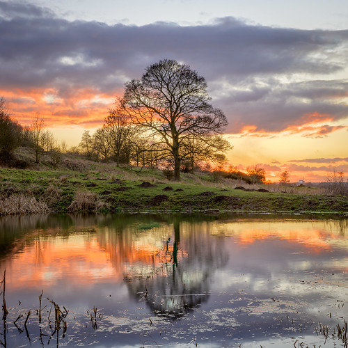 landscape tree reflection lincoln lincolshire sunset sky pond lake nikonz6 nikon 35mm