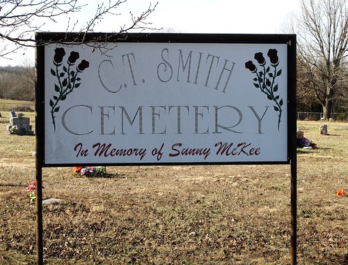ctsmithcemetery smithcemetery cemeteries successmo texascountymo missouri