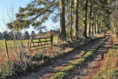 ericrobbniven scotland dundee alyth perthshire walking winter landscape