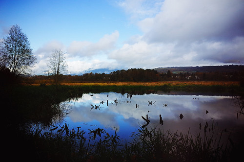 burnaby canada britishcolumbia bc burnabylake burnabylakeregionalnaturepark water lake marsh wetlands reflection autumn sky clouds moody ricoh gr
