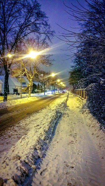 Winter evening walk
