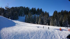 19. Januar 2019 Skitag