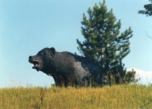 bear union michigan roadside