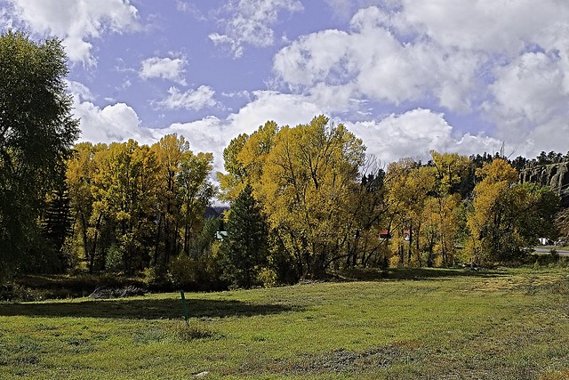 Fall Color in the Colorado Rockies-2477