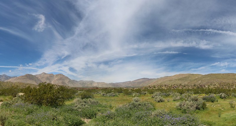 Beautiful clouds and a green desert, looking north across Collins Valley
