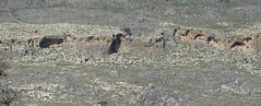 Terraza marina calcarenítica levantada y paleoacantilado con socavadura (Pleistoceno) sobre calizas cretácicas - Lindos (Isla de Rodas, Grecia) - 01