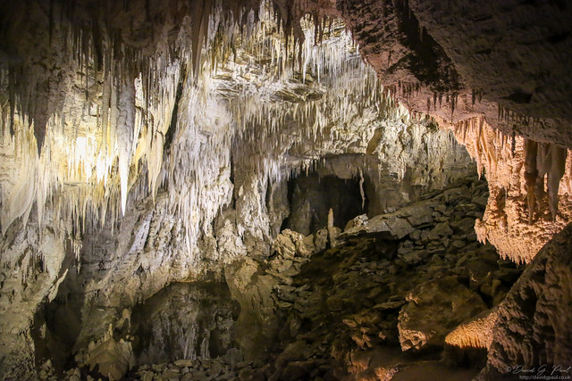 Ruakuri caves