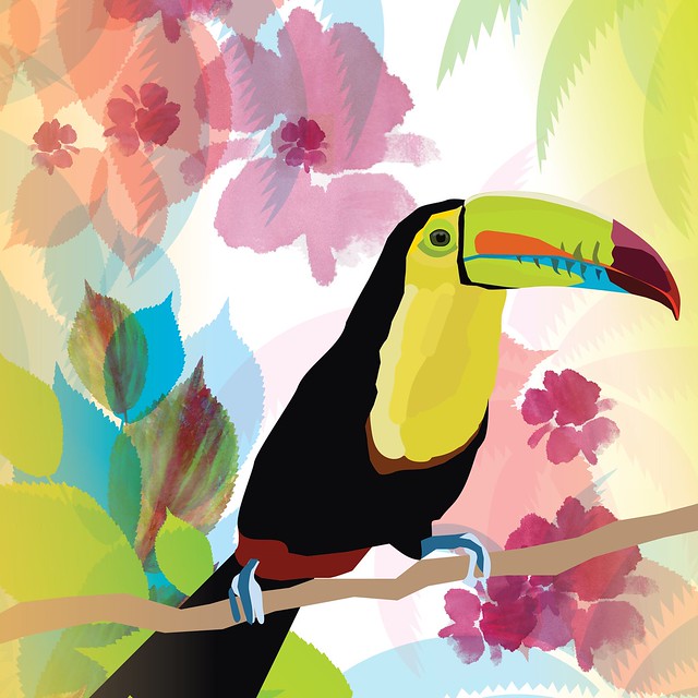 Tropicality Toucan
