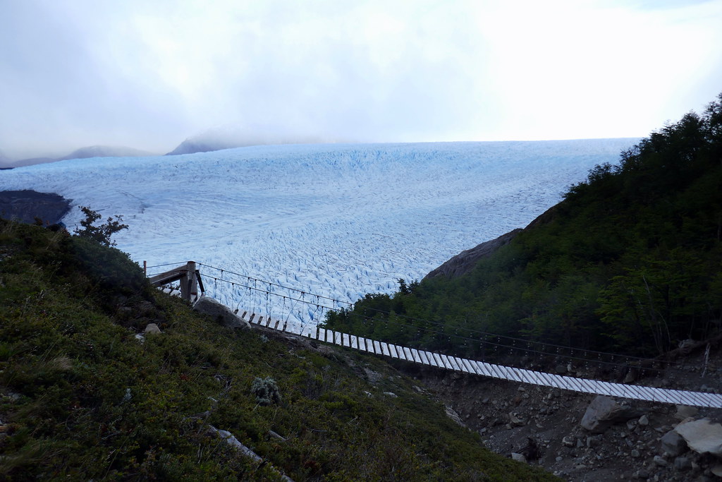 Bridge and Grey Glacier