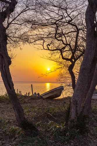 上北郡 青森県 日本 jp lake ogawara aomori japan sony e zeiss batis240 sun sunrise boat tree