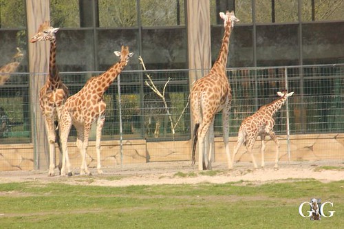 Besuch Tierpark Friedrichsfelde 06.04.2019118