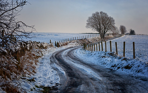 winteronthelane newhey rochdale cold countryside rural trees snow lane landscape lancashire northwest england uk greatbritian weather britishweather january winter 2019 frozen fence road barbwire fields windingroad canon canon5dmarkll canon5d canoneos5dmarkii 50mm ef50mmf18ll ef50mm canon50mm fantastic50mm outdoor outside