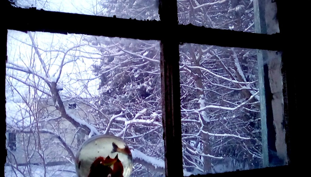 Winter through the window - HWW