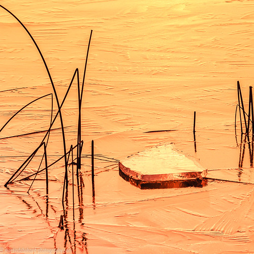 frozen lake sunset ice köpenick water berlin steppenwolf33 reed