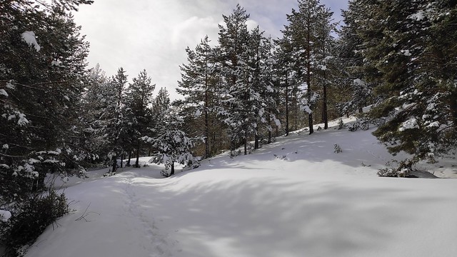 IMG_20190202_111608