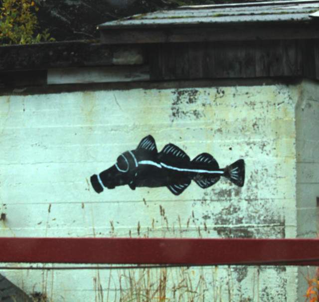 - Environmental / Stencil Art Graff                                                                                                                                                         ti on the abandon house  Lofoten Islands Norway Gimsoy