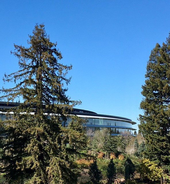 Windows at Apple HQ