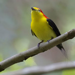 2019 VENT Adventure in the Llanos of Colombia