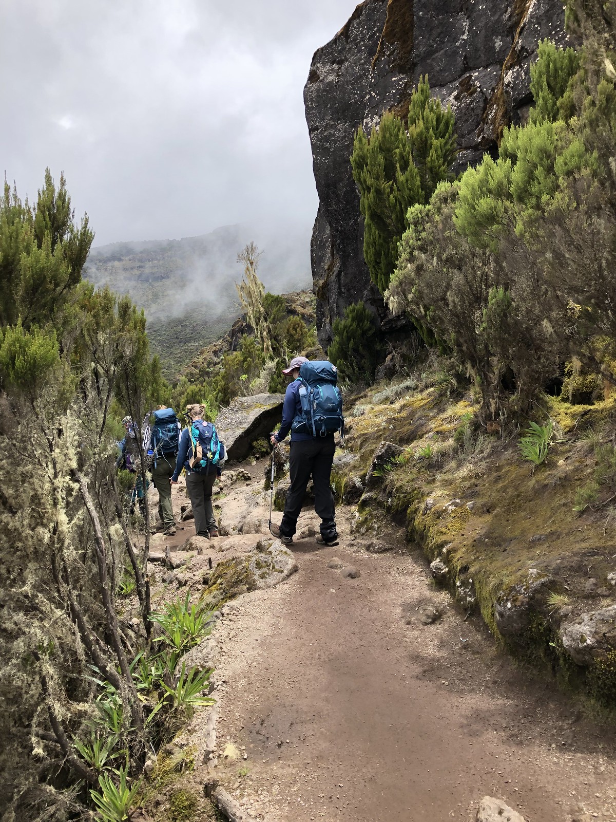 2019_EXPD_Kilimanjaro_Ashley 13
