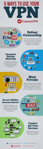 Top 5: Best ways to use your VPN | by genevieveleonard