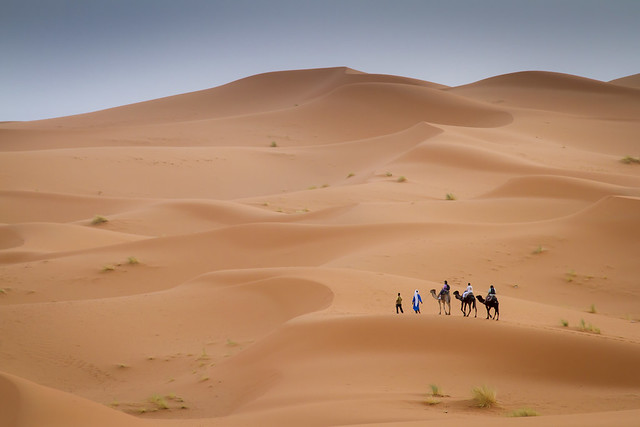 On the move in the Sahara desert near Erg Chebbi, Morocco