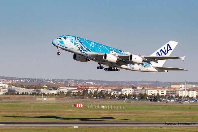 JA381A All Nippon Airways Airbus A380-841 Lani the flying Turtle