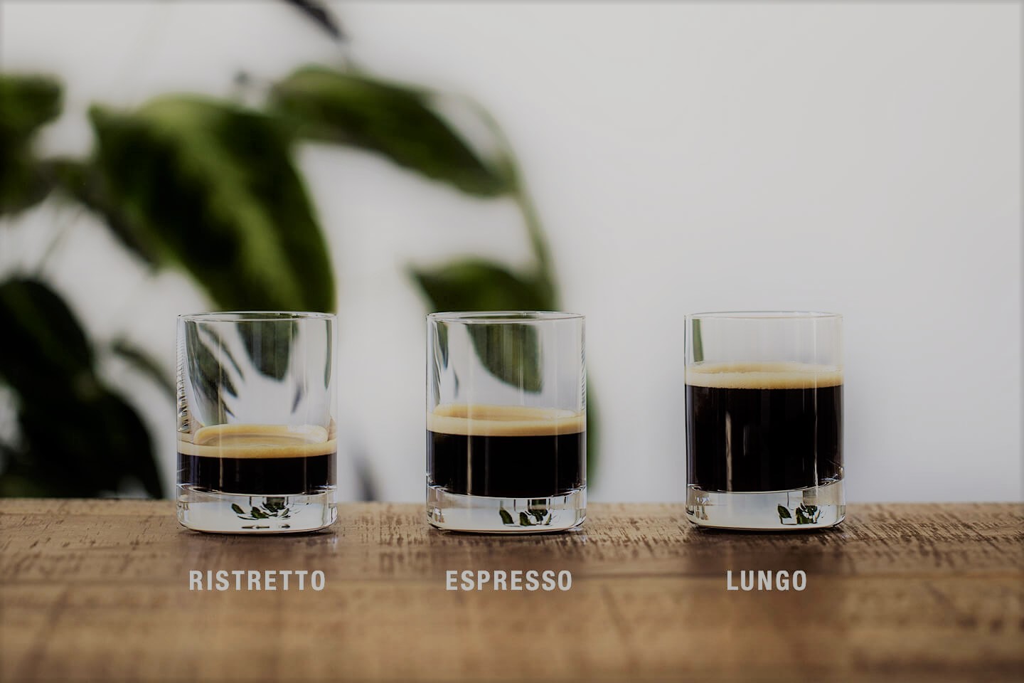 So sánh Espresso, Ristretto va Lungo