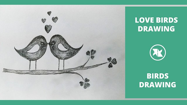 How to Draw a LOVE BIRDS for Kids