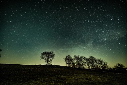 amazing nightphotography nachtfotografie trees winter astrophotography astrofotographie longexposure deutschland eifel germany