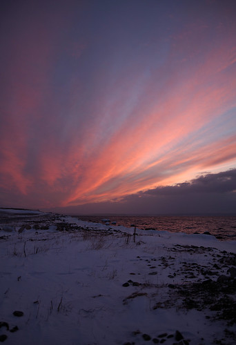 delenajane newfoundland ngc newfoundlandcoastline sunset pinkskies canada conceptionbaysouth clouds winter ocean pentaxart