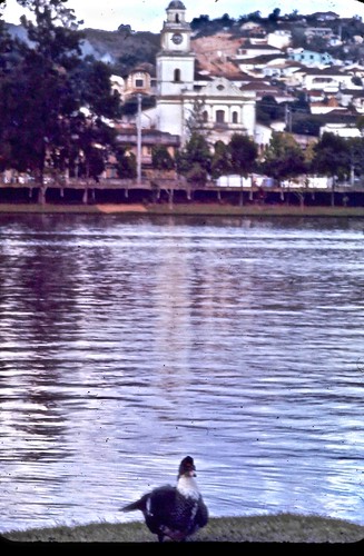 o pato igreja de são lourenço parque das águas minas gerais brasil 1970 