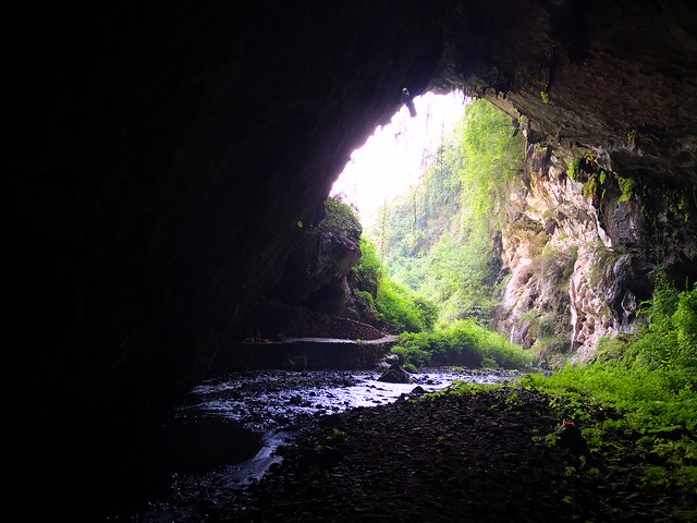 Guizhou China cave 普定落水洞
