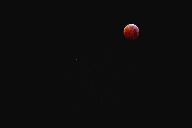 _ blood moon -