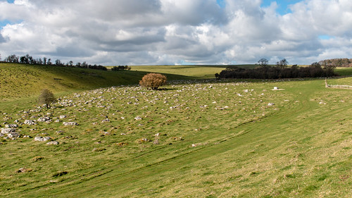 sarsen stone boulder rock drift field greywether fyfield downs grass hill tree landscape wiltshire wessex sky