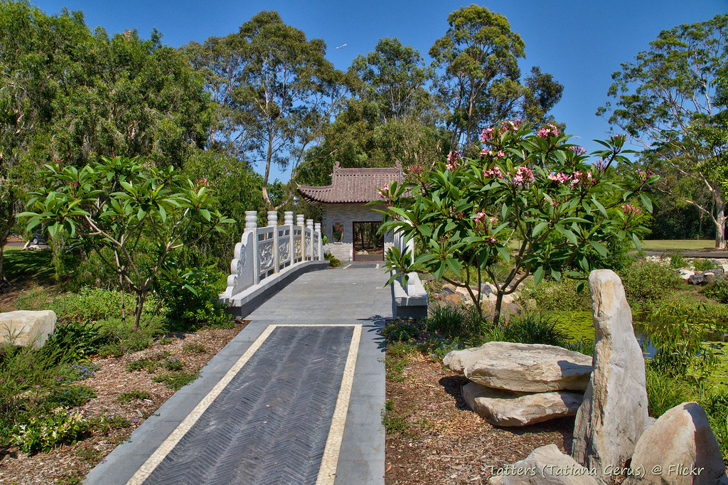 Piece of Bundaberg Botanic Gardens