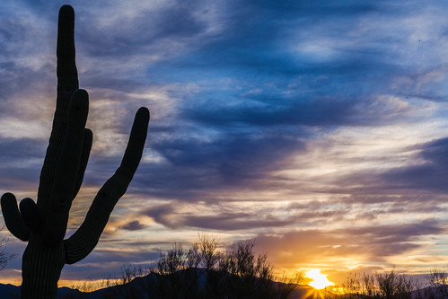 canon 5d mk2 arizona canon5dmk2 sunrise dawn desert saguaro silhouette tucson