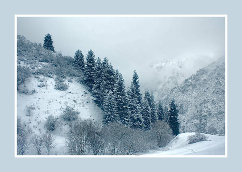 kazakhstan almaty almatyregion centralasia almaarasan ulkenalmaty winter fog haze snow february 2011 blue grey bw landscape mountains alatau ilialatau tianshan