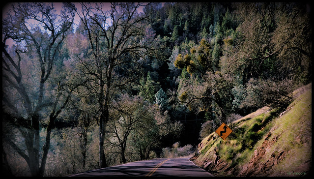 Highway To Yosemite