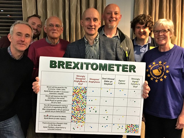 Andrew Adonis with Brexitometer and some Swansea for Europe members