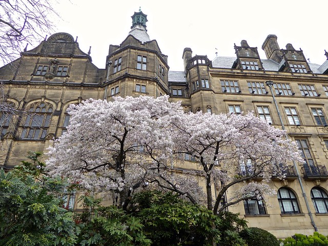 Sheffield - Peace Gardens